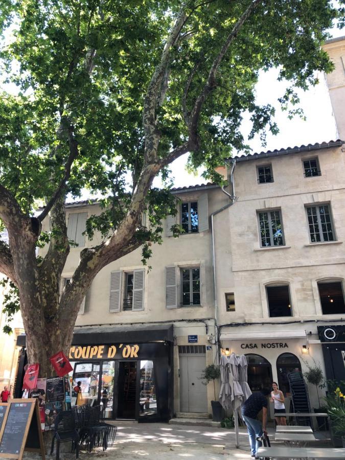 Avignon Pedestrian Area, Charming, 4 Persons Apartment Bagian luar foto