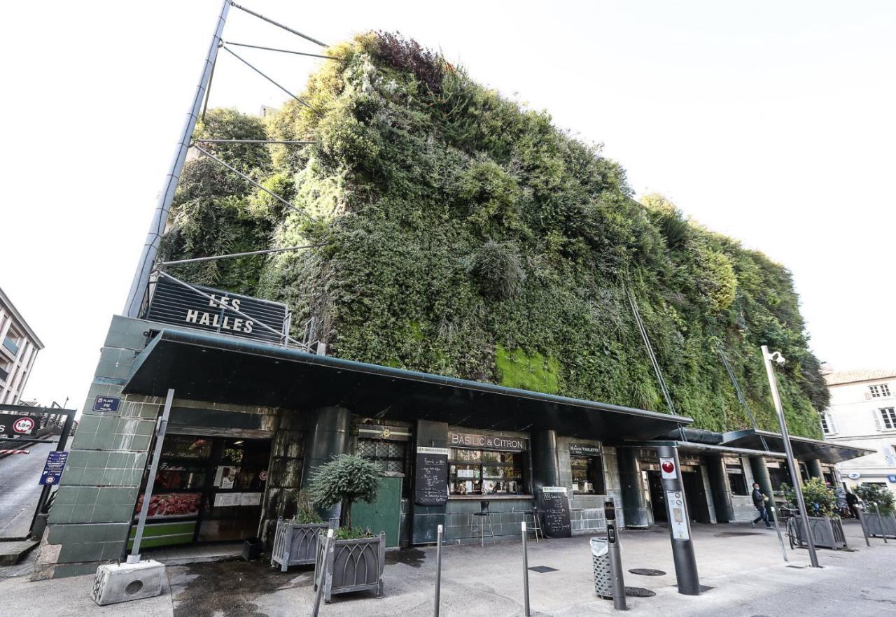 Avignon Pedestrian Area, Charming, 4 Persons Apartment Bagian luar foto