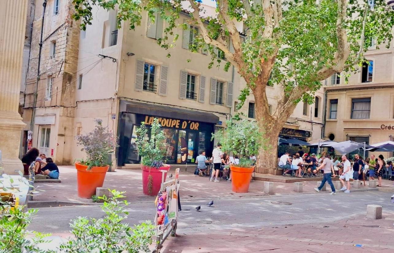 Avignon Pedestrian Area, Charming, 4 Persons Apartment Bagian luar foto
